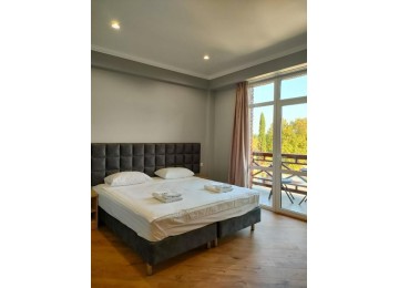 Стандарт  2-местный 1-комнатный с балконом|  Арт-отель Абхазия